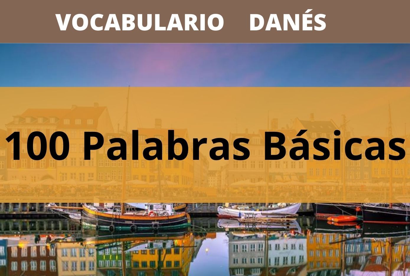 100 palabas basicas en danes