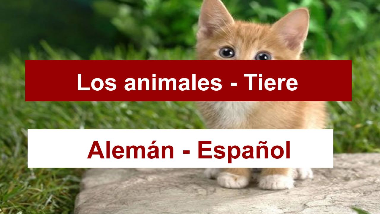 animales-en-aleman