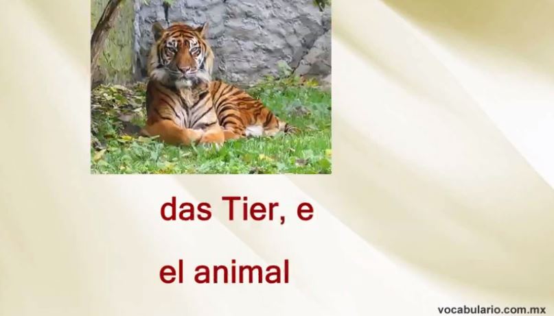 animales-en-aleman-vocabulario