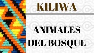 KILIWA-ANIMALES-DEL-BOSQUE.jpg