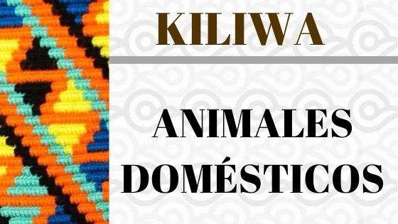 KILIWA-ANIMALES-DOMESTICOS.jpg