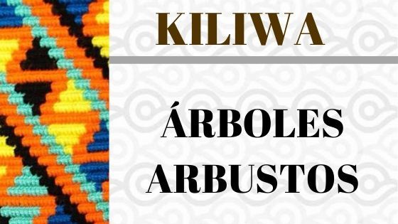 KILIWA-ARBOLES-ARBUSTOS.jpg