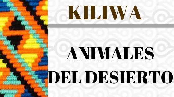 KILIWA-VOCABULARIO-DESIERTO.jpg