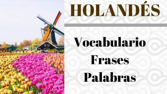 VOCABULARIO-HOLANDES-FRASES