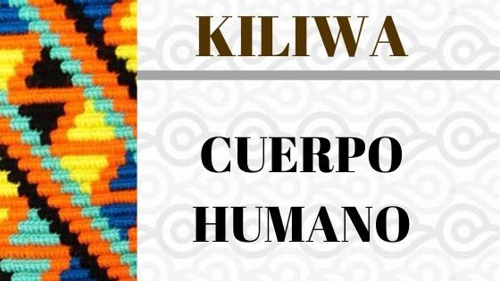 kiliwa-partes-cuerpo.jpg