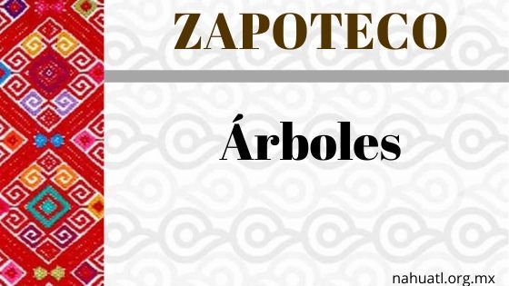 zapoteco-arboles-vocabulario