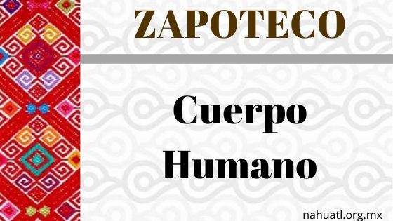 zapotecos-cuerpo-humano-vocabulario