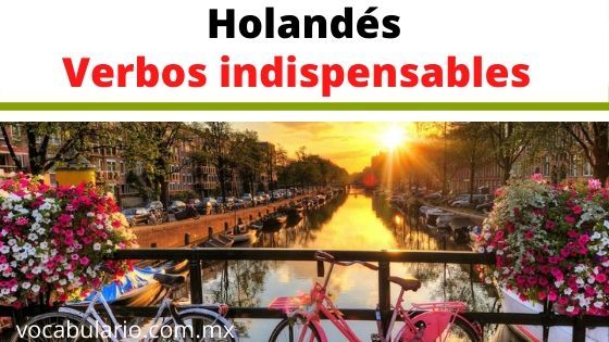 holndes verbos indispensables