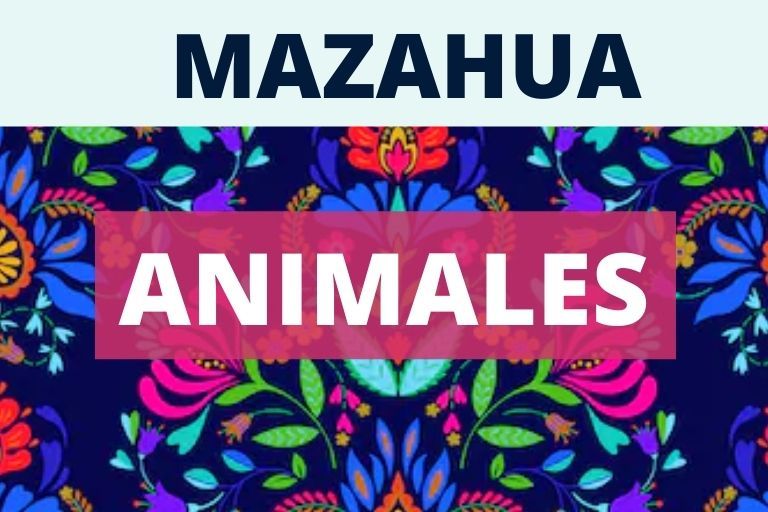 mazahua diccionario animales