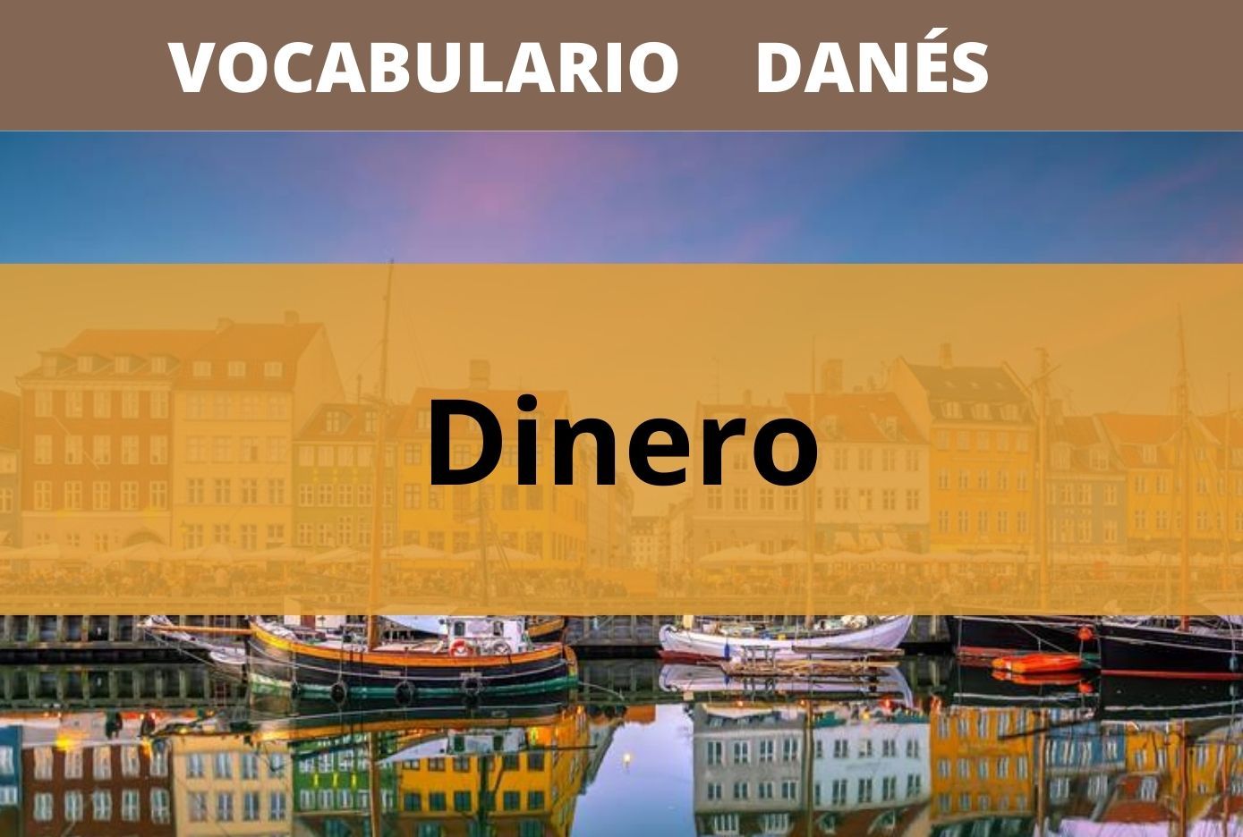 vocabulario de dinero en danes